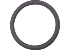 +GF+  O- Ring f. Verschraubung  d= 20 mm  749.410.006 FKM